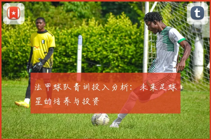 法甲球队青训投入分析：未来足球星的培养与投资