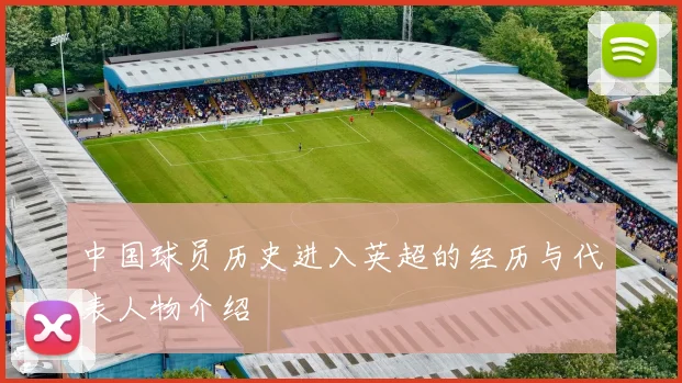 中国球员历史进入英超的经历与代表人物介绍
