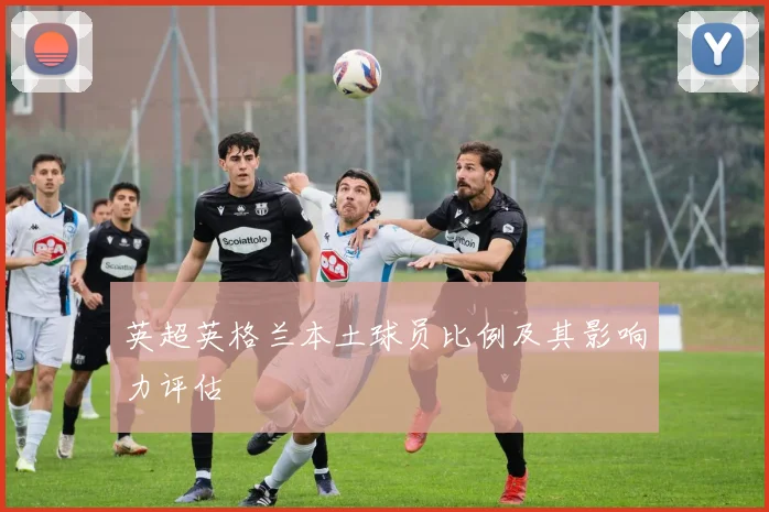 英超英格兰本土球员比例及其影响力评估