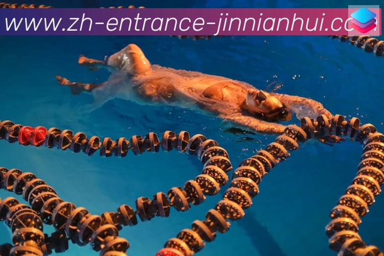 奖项证书